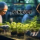 Discover Peñiculs for Holistic Health and Wellness