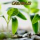 Grenblis: Revolutionizing Green Energy Solutions