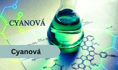 Cyanová: Exploring the Allure and Significance