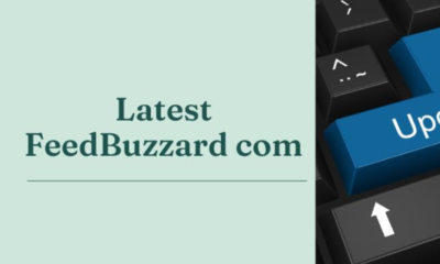 Exploring the Latest Buzz on feedbuzzard com latest