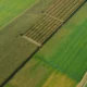 Innovating Agriculture: Field Trials and Experimentation in Crop Management Solutions