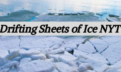 Drifting Sheets of Ice: A Journey Through Nature's Frozen Phenomena