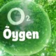 Õygen: Breathing New Life into Wellness and Innovation