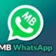 MB WhatsApp – Customizing User Experience, Themes and More Features