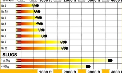 How Far Can Shotgun Pellets Travel?