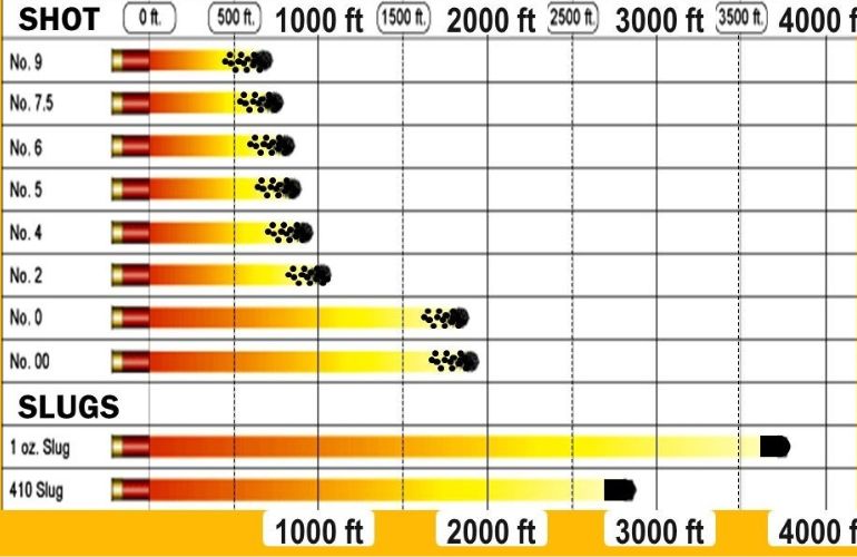 How Far Can Shotgun Pellets Travel?