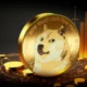 Drdoge: The Next Big Meme Coin Revolution in Crypto